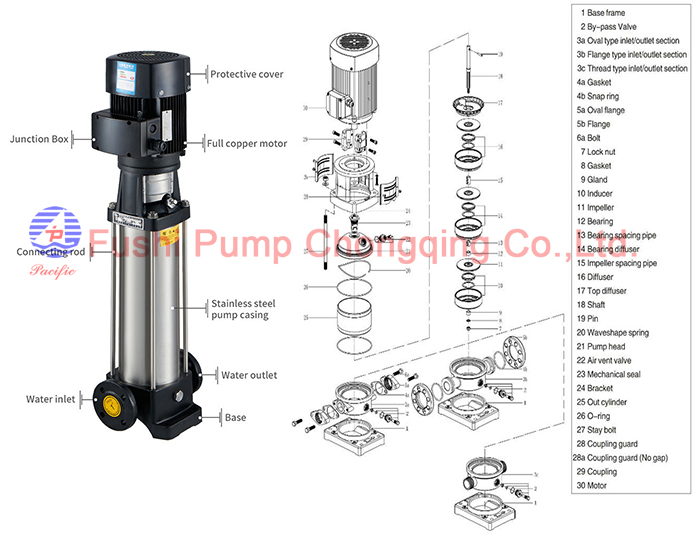 TPY Marine Vertical Stainless Steel Multistage Centrifugal Pump13.jpg